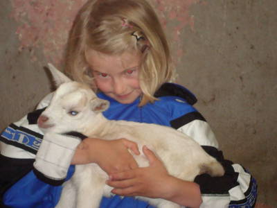 Bild 12 aus  Jagerhof