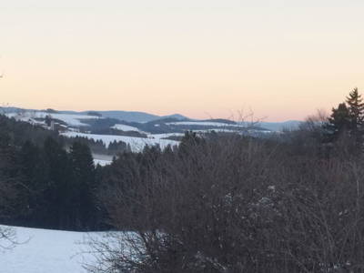 Bild 105 aus  Feriennest Zehetbauer