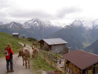 Bild 32 aus  Hanserhof