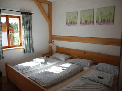 Bild 102 aus  Peter in der Edt