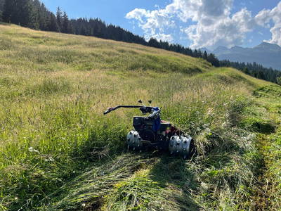 Bild 36 aus  Bio-Bauernhof Schweizerhof