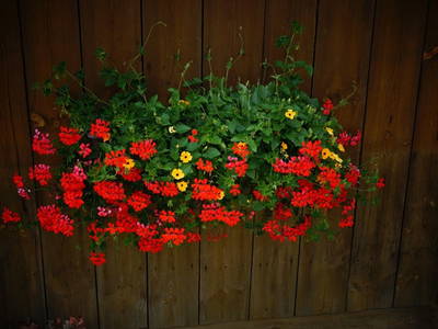 Bild 18 aus  Der Ofenmacherhof  Urlaub am Bauernhof