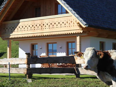 Bild 80 aus  Almhütte Wiedhupf