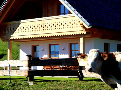 Bild 80 aus Almhütte Wiedhupf