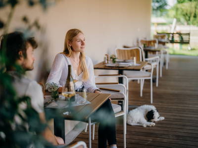 Bild 2 aus  Monschein Weingut Straden