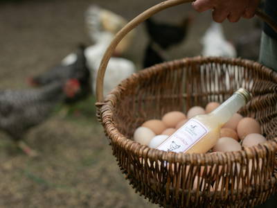 Bild 12 aus  Rittergut Schwanditz