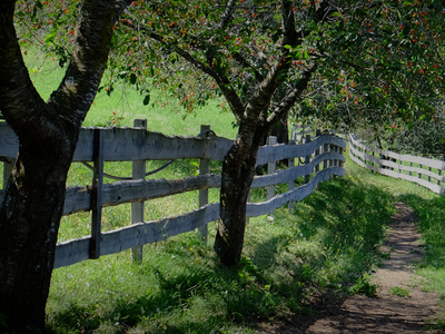 Bild 22 aus  Fillhof