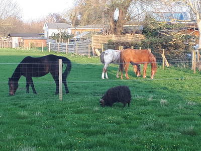 Bild 11 aus  Hof Grünberg