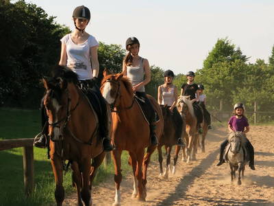 Bild 15 aus  Bernsteinreiter Hirschburg