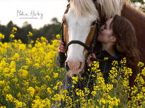 Bild 3 aus  Hof Grüneberg