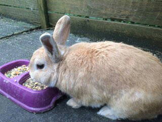 Bild 12 aus  Ferienhof Nielson