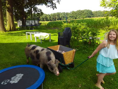 Bild 16 aus  Ferienhof Haselheide