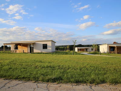 Bild 55 aus  Hollweck's Landoase