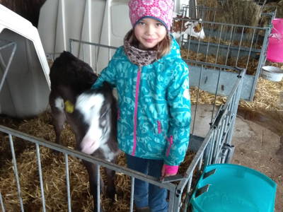 Kuscheln mit dem Kalb