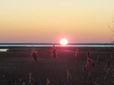 Sonnenuntergang an Bodden
