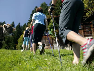 Bild 17 aus  Schädlerhof