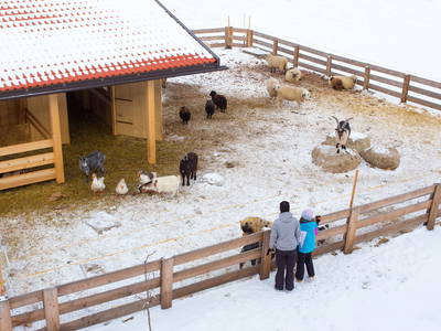 Bild 7 aus  Lerchnhof