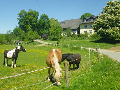 Bild 12 aus  Gottelhof