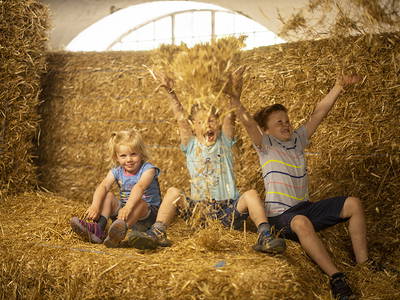 Bild 28 aus  Gut Frielinghausen