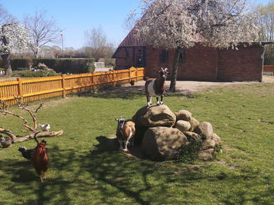 Bild 24 aus  Ostseeferienhof Tralau