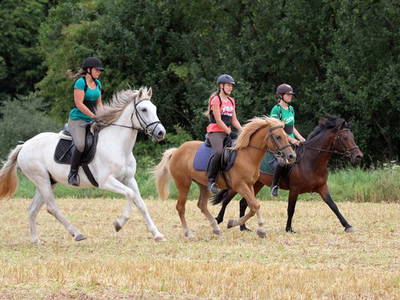 Bild 21 aus  Ferienwohnung Lindleshof