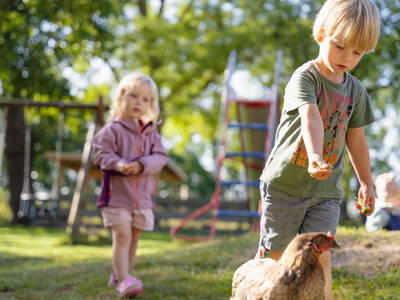 Hühner laufen frei im Hof