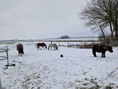Bild 50 aus  Küstenhof Oldewurtel