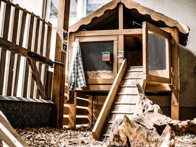 Bild 19 aus  Erlebnishof Mültner