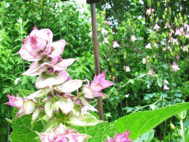 Bild 31 aus  Franzen Hof  Koch