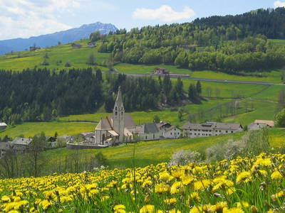 Bild 6 aus  Neu-Schötzerhof