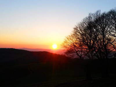 Bild 29 aus  Willkommen bei Familie Gutmann  auf dem Itzenwaldhof