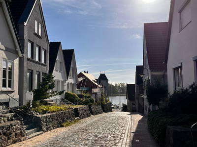 Bild 50 aus  Ferienhof Sell Bauernhofurlaub Ostsee Ponys