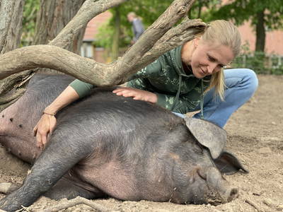 Bild 26 aus  Pferdehof Ruhnau FN