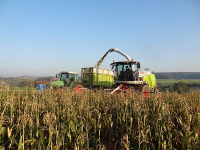 Bild 9 aus  Steigerwaldhof Krafft