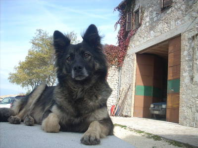 Bild 62 aus  Agriturismo Bartoli