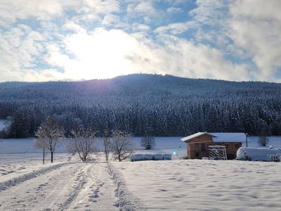 Bild 6 aus  Burgstallhof