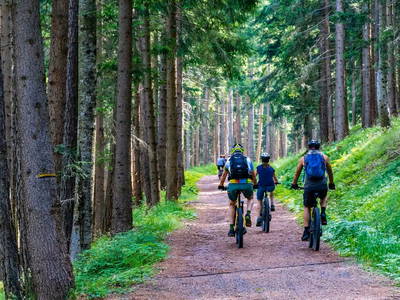 Bild 10 aus  Eifel21