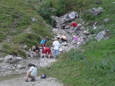 Bild 23 aus  Schauerhof