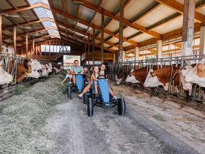 Bild 3 aus  Ferienparadies Huberhof