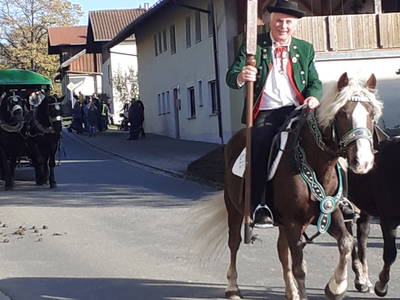 Bild 73 aus  Woferlhof