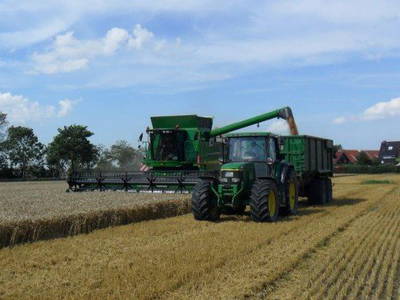 Bild 7 aus  Gut Wellingsbüttel