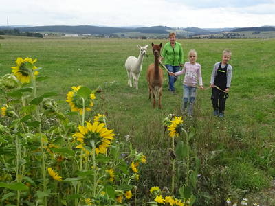 Bild 18 aus  Ferienhof Kießling