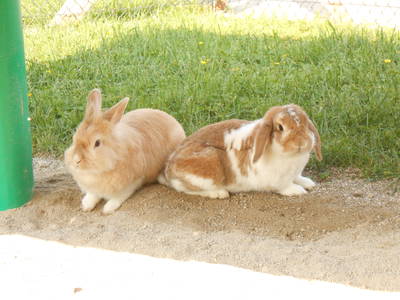 Bild 26 aus  Kaiserhof am See