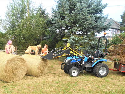 Bild 14 aus  Ferienbauernhof    "Pension Landhof "