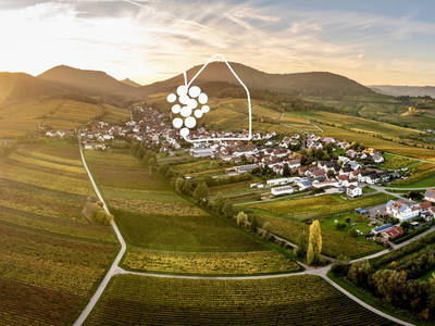 Bild 28 aus  Das Winzereck | Ferienhaus zwischen Weinbergen & Pfälzerwald