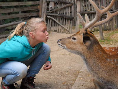 Bild 2 aus  Urlaub im Zoo – Tierpark Görlitz