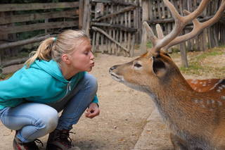 Urlaub im Zoo – Tierpark Görlitz aus Görlitz