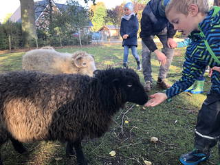 Bauernhof Höper aus Fehmarn