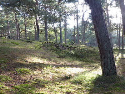 Bild 32 aus  Ferienhaus Gut Rattelvitz-INSEL RÜGEN
