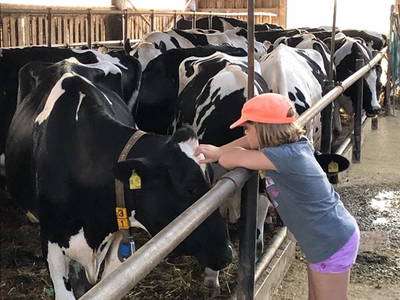 Bild 9 aus  Ferienhof Wiesengrund